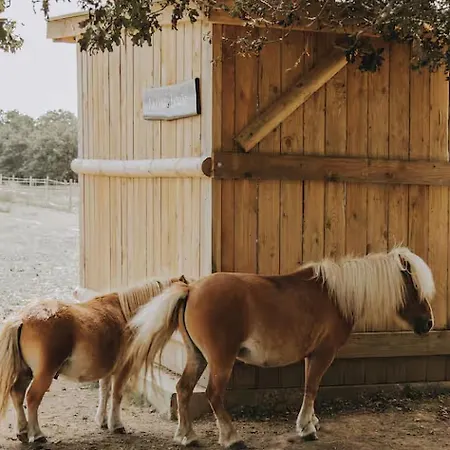 Domaine De La Ruade Loireauxence