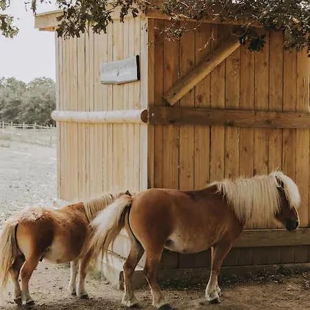 Domaine De La Ruade * Loireauxence