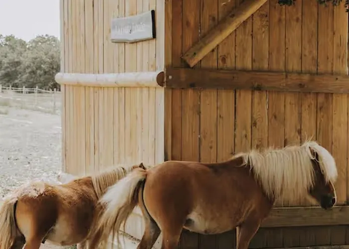 Domaine De La Ruade Loireauxence
