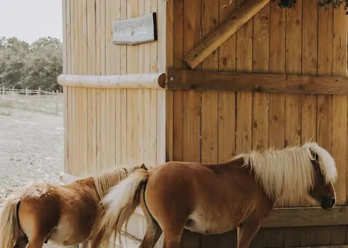 Domaine De La Ruade * Loireauxence